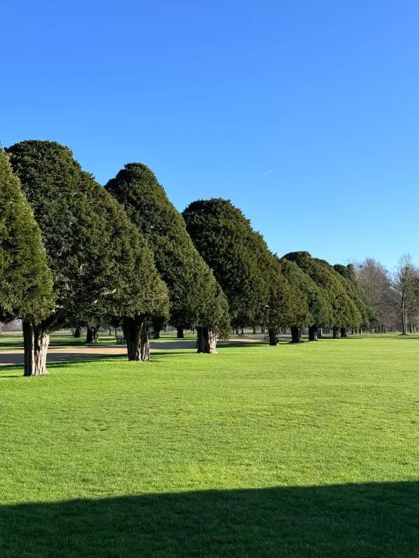 Hampton Court Palace New Year Ticket Offer: 50% Off!