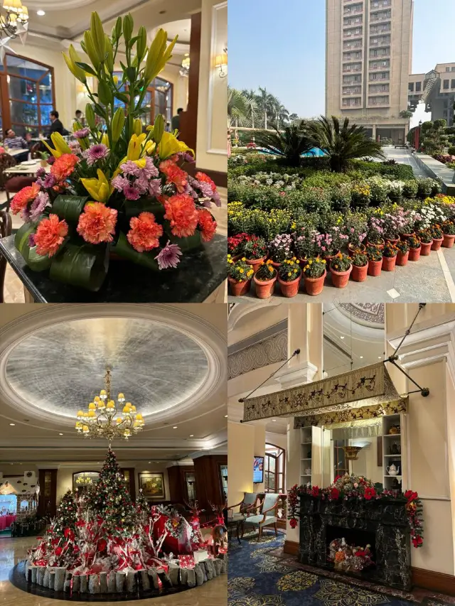 New Delhi | Luxurious Experience Near the Subway