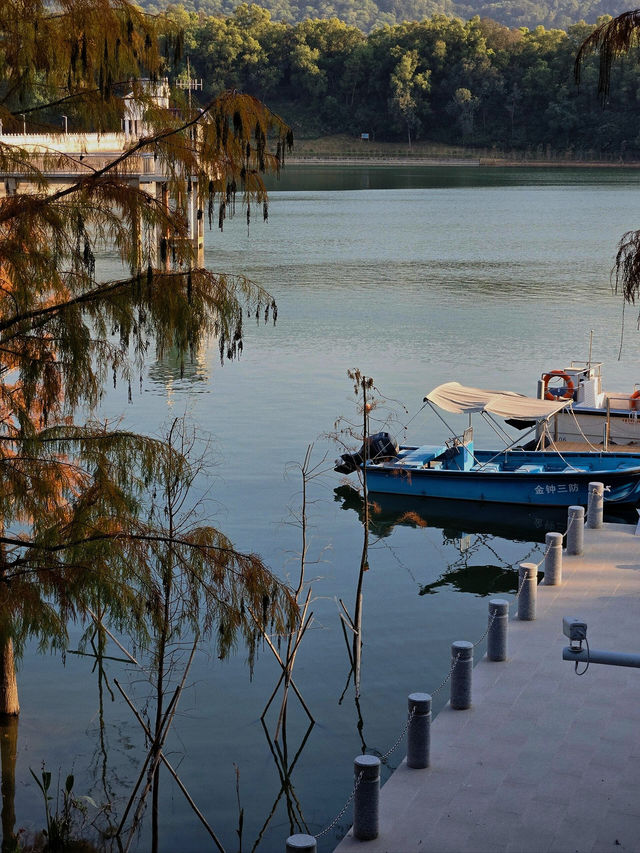 #中山金鐘湖公園：迷人湖景