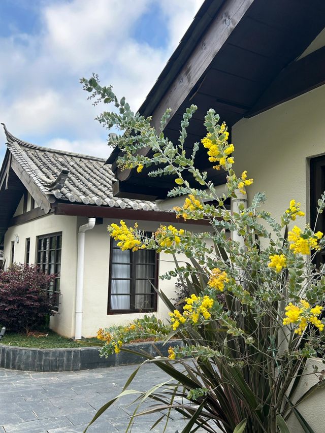 麗江民宿 | 住進風景裏，邂逅雪山浪漫