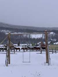 3天探秘阿勒泰 古鎮古村不迷路