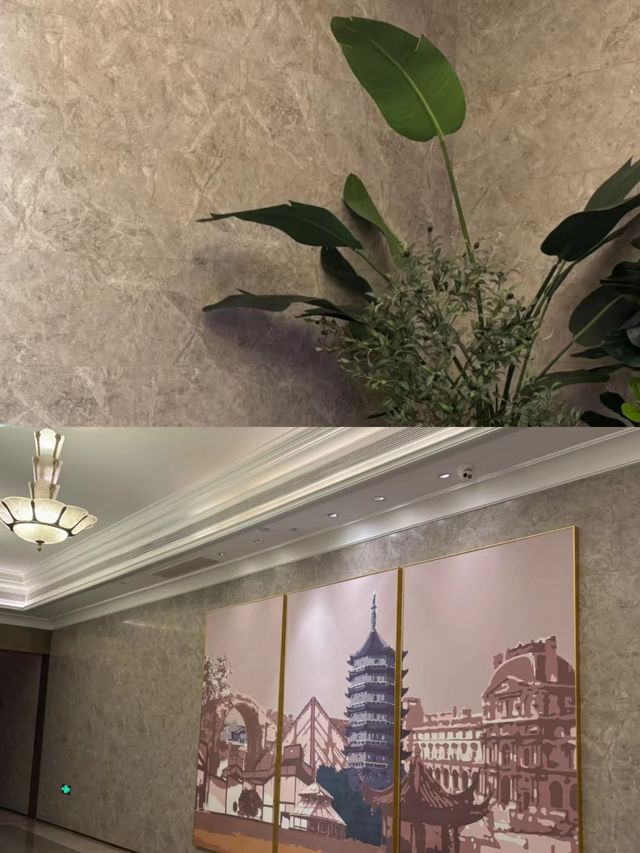 蘇州觀前平江美居酒店，來蘇州一定要住的酒店，比較推薦!