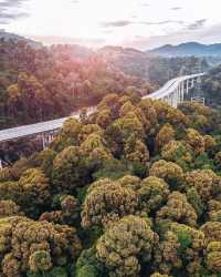 探秘馬來西亞最高公路旁的秘境森林，必打卡的治癒系行山路線！