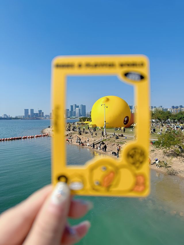 深圳前海驚現巨型小黃鴨打卡免費送周邊鴨