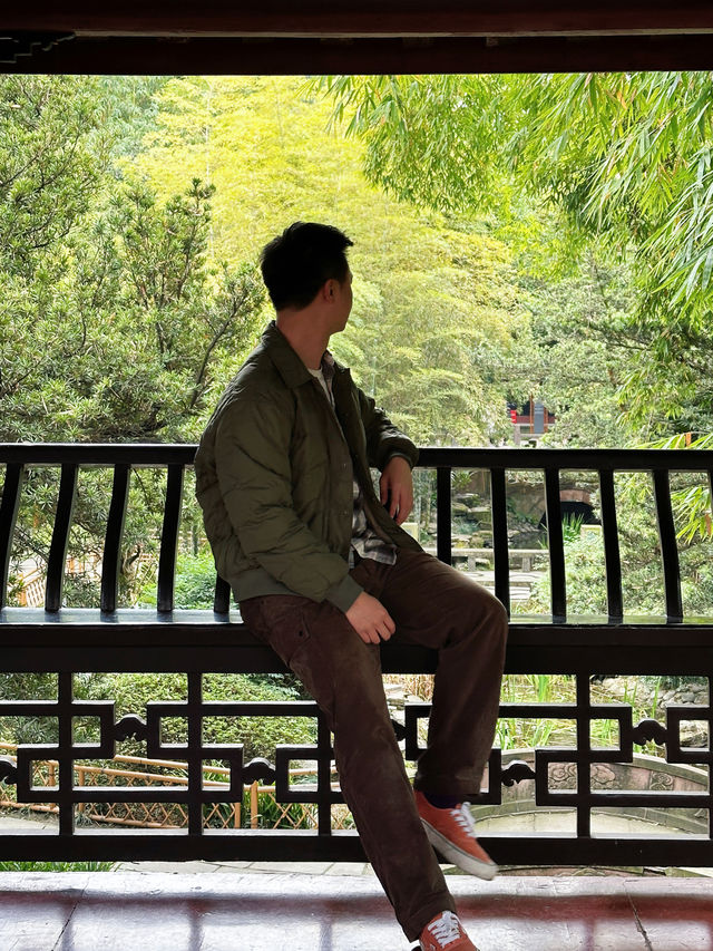 抓緊時間望江樓公園的杏梅美到心動