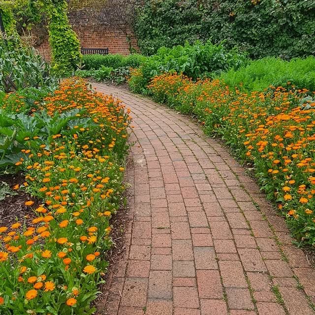 英國斯蒂文尼奇內布沃斯莊園：探索英倫古堡與美麗花園