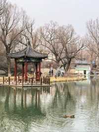 青州古城超詳細旅遊攻略新年趣玩指南