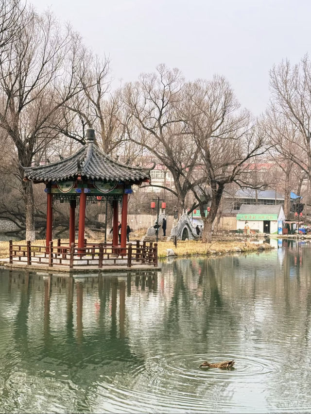 青州古城超詳細旅遊攻略新年趣玩指南