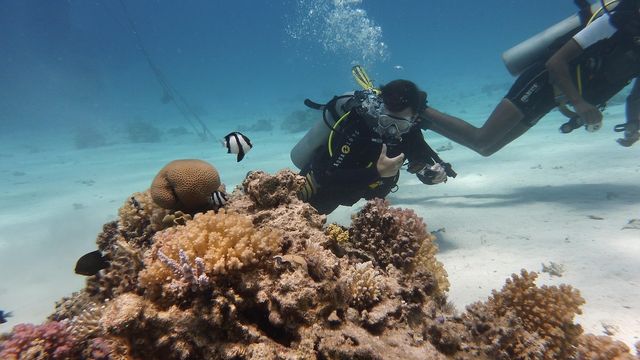 關島潛水的N種可能