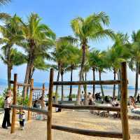 海鷗與落日🌇椰林遊樂場🌴一定要帶娃來‼️