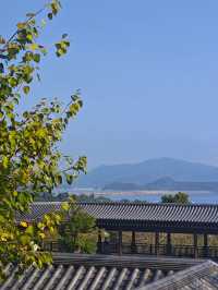 在香港慈山寺！免門票打卡攻略請收下！