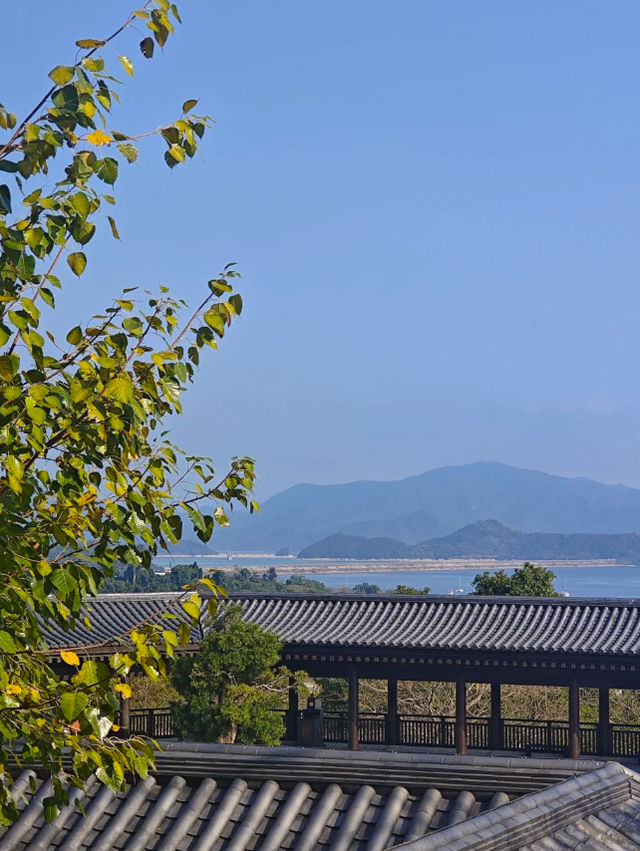 在香港慈山寺！免門票打卡攻略請收下！