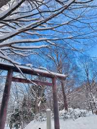 6日深度遊日本 真溫泉體驗大揭秘