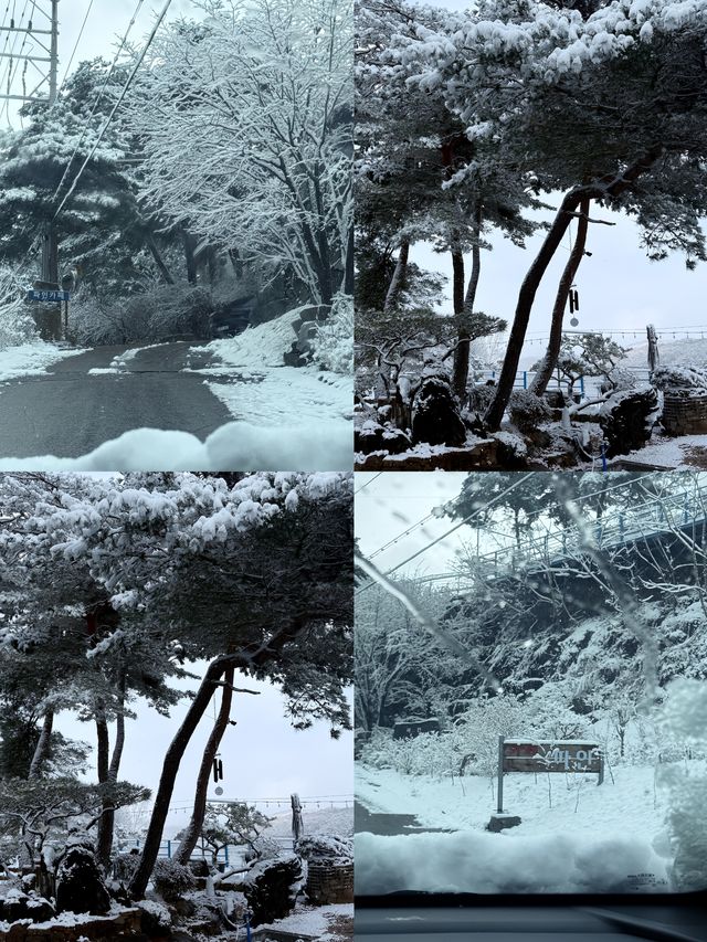 探索原州：韓國小眾旅遊的理想之選