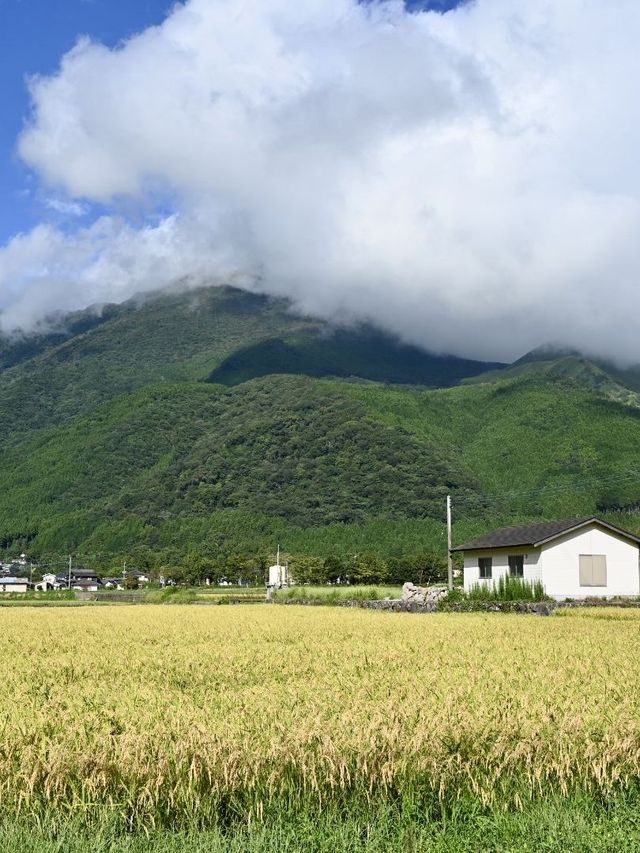 6日暢遊日本 盡享溫泉之旅