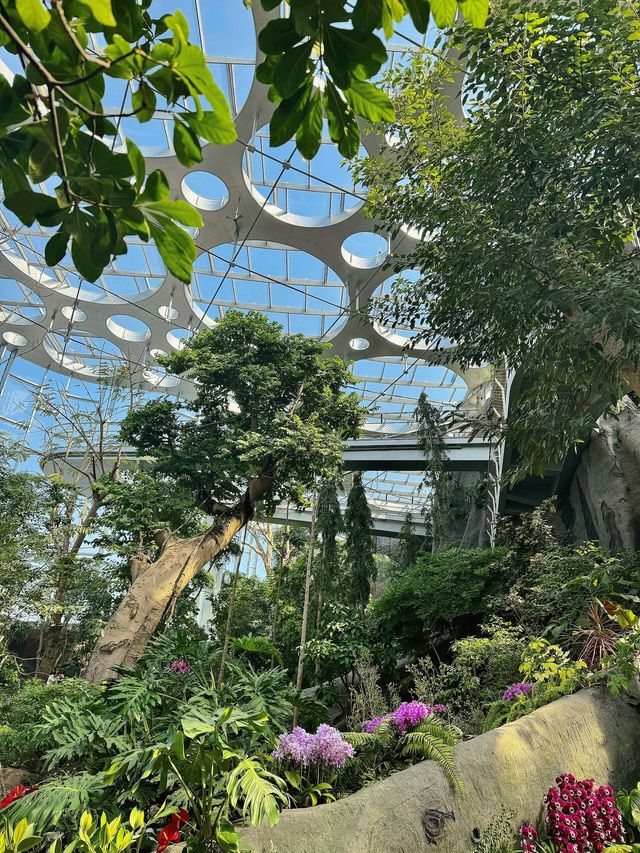 亞洲最大的上海溫室花園