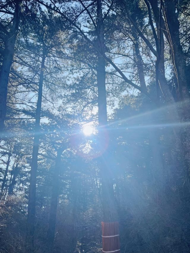 登華山，攬盡山河壯闊