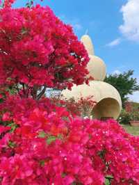 【春日限定】賞花摘果，一秒get仙女感！