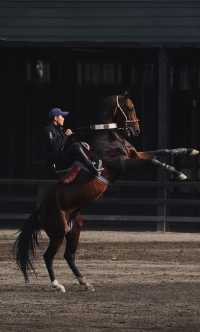 太激動!太熱血沸騰了!家人們,去烏魯木齊一定要去這個地方!