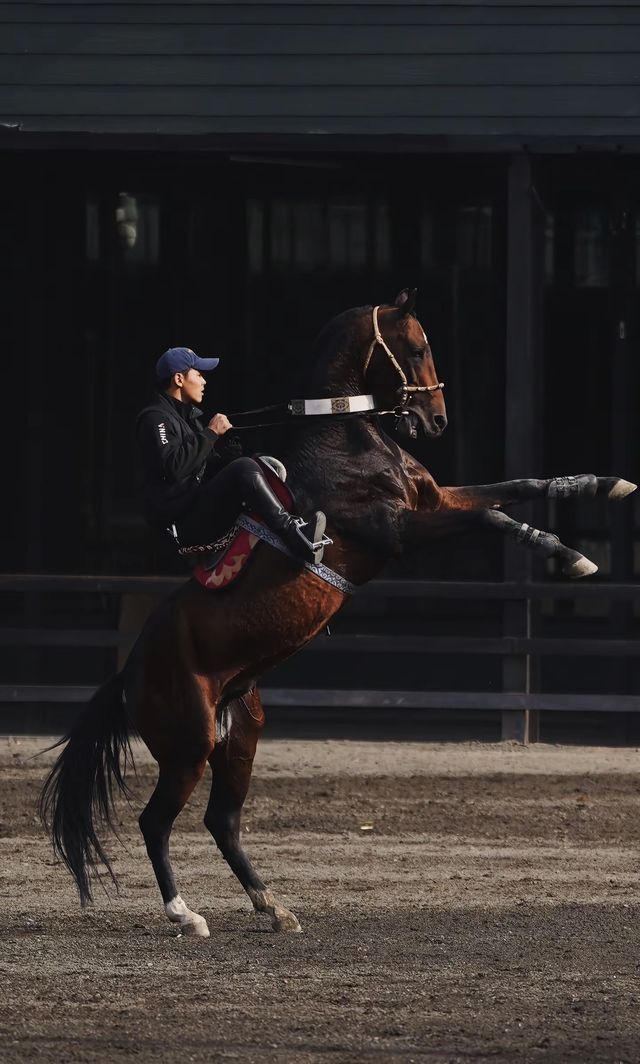 太激動!太熱血沸騰了!家人們,去烏魯木齊一定要去這個地方! 太激動!太熱血沸騰了!家人們,去烏魯木齊一定要去這個地方!
