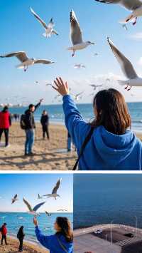 「馿馬．假日」邂逅與海鷗的浪漫之約