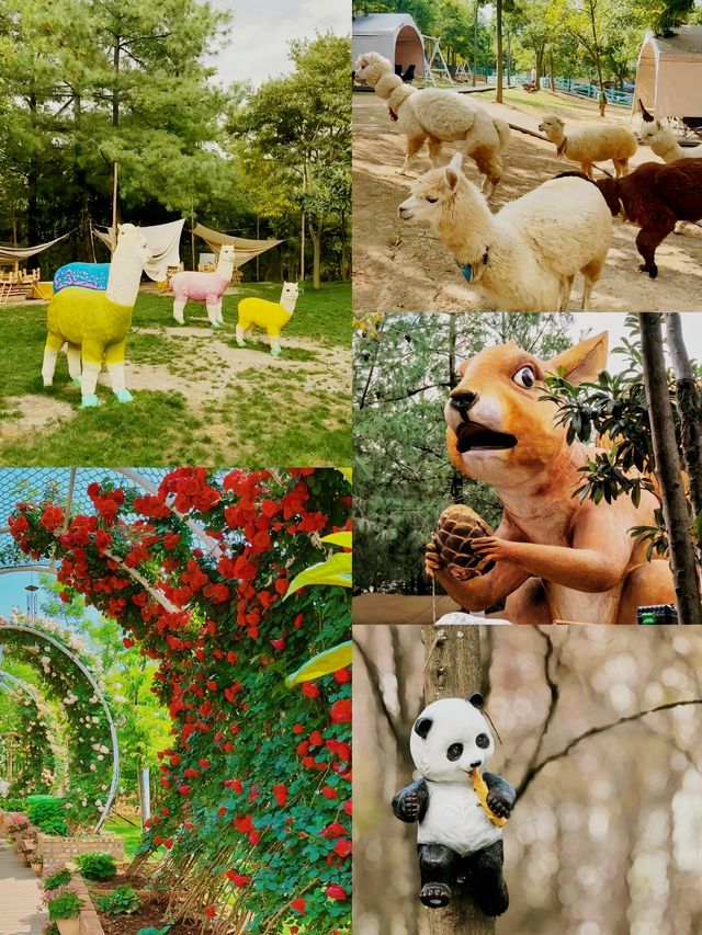 昆明小摩洛哥！！