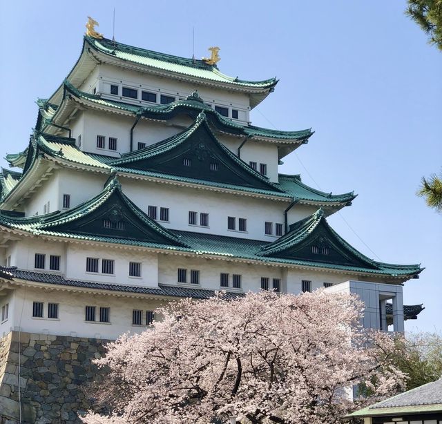 名古屋城 | 穿越時空，邂逅日本戰國風雲