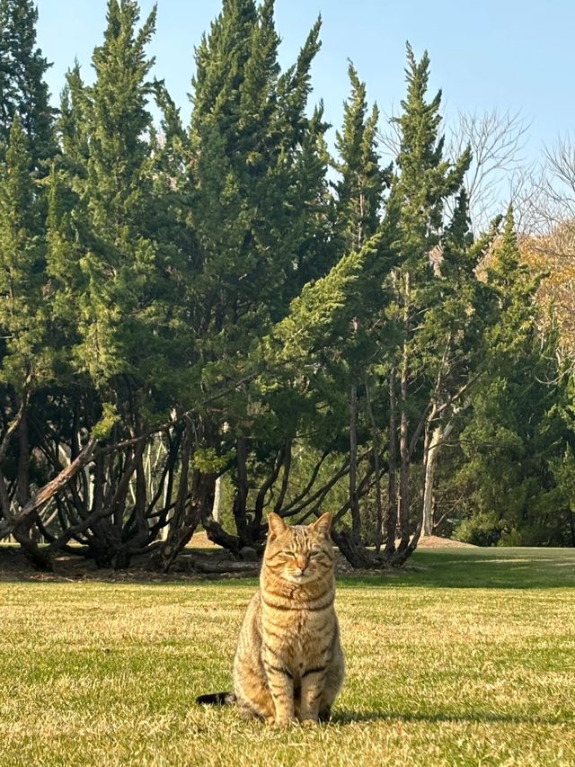上海濱江森林公園