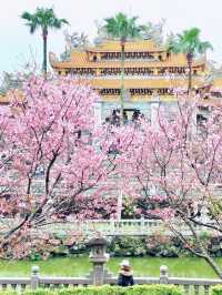 【新北林口竹林山觀音寺】寺廟遊也能超美的！