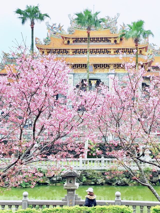 【新北林口竹林山觀音寺】寺廟遊也能超美的！