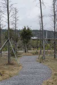 漫步二井灣濕地公園，觀鳥觀草觀海