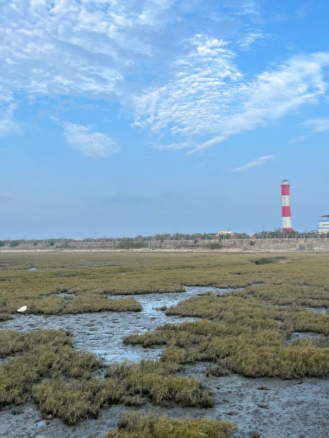 台中周邊遊—高美濕地