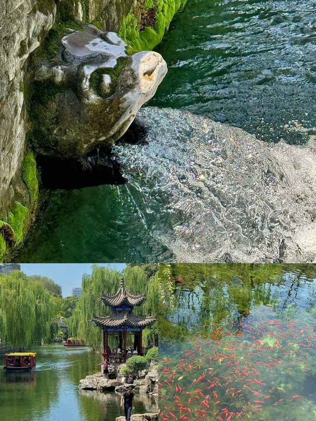 為了這18張圖！專程來一趟濟南！！！