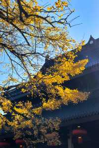 人間彌勒，知足常樂