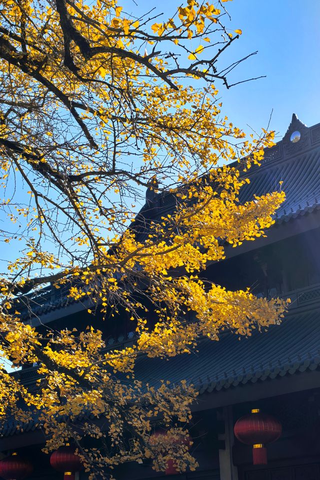 人間彌勒，知足常樂