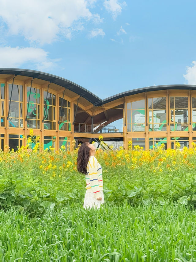 一頭扎進成都的莫奈花園