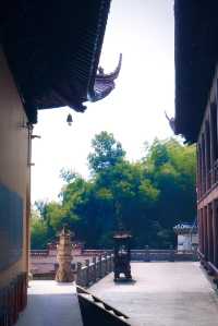 義烏雲黃禪寺/超適合放空自己的寶藏地方