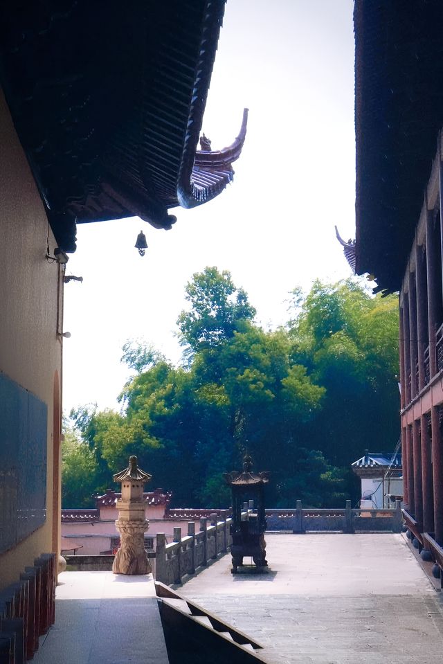 義烏雲黃禪寺/超適合放空自己的寶藏地方