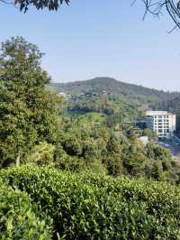 安且吉兮，在涵田