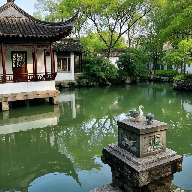 Suzhou Family Day Trip | A Local Mom's Secret Itinerary for an In-Depth Jiangnan Experience
