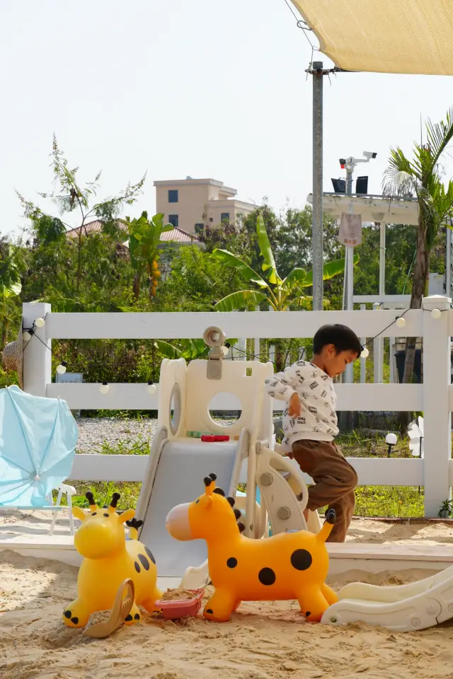 Stumble into a real-life Emerald City! A new camping landmark in Huidong