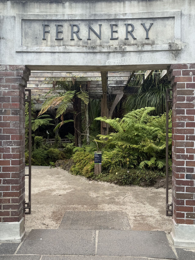 One Of The Best Free Things In Auckland, The Stunning Winter Gardens 