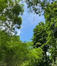 寶安公園｜喺綠樹成蔭嘅公園入面搵到寧靜時光！