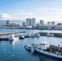 走進稚內港，感受北境海港魅力
