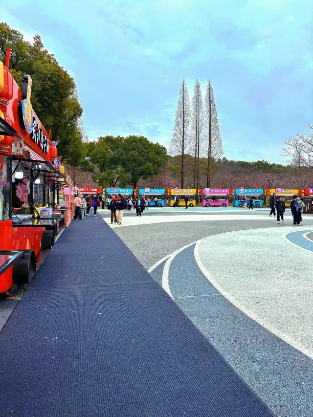 春日被無錫限定！無錫賞櫻超絕攻略