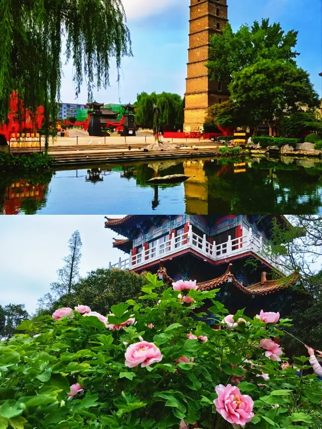 "How photogenic is it to take pictures in Hanfu at Luoyi Ancient City?"