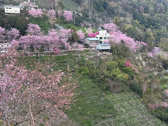 誰又幸福了！找到了台灣南投的現實版小瑞士