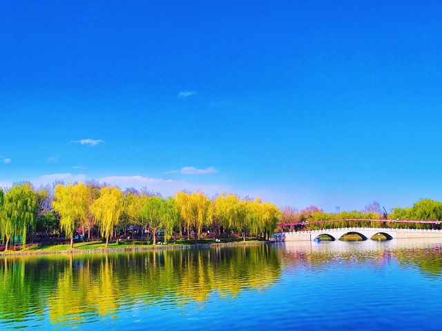 寶子們！錯過陶然亭公園嘅春日浪漫，真係會喊㗎