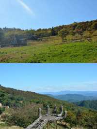 綠野尋芳·春遊白山，3條寶藏級春遊路線等你嚟