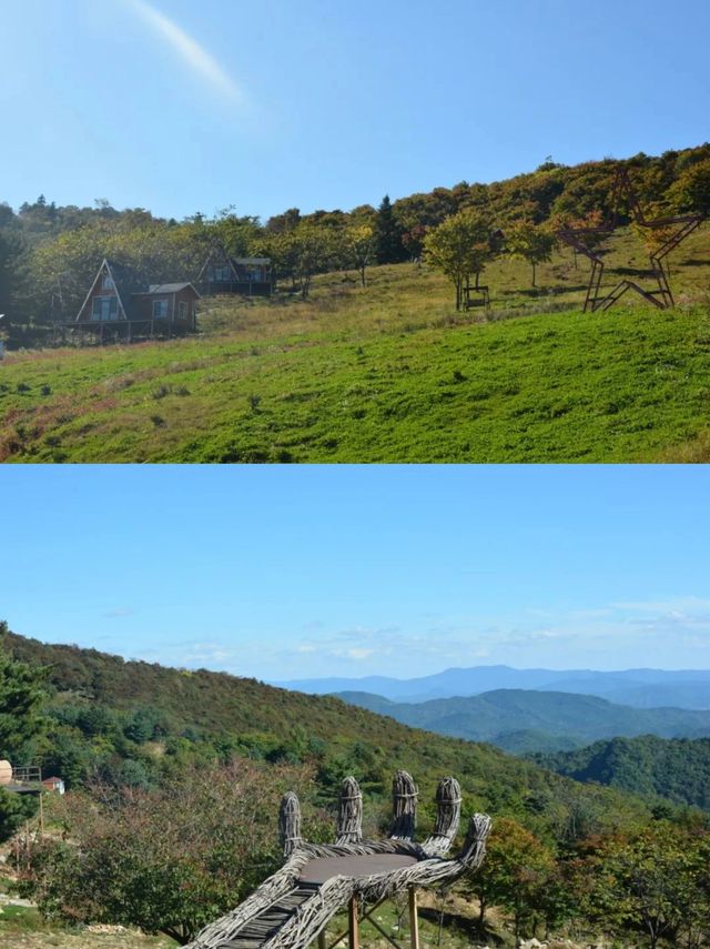 綠野尋芳·春遊白山，3條寶藏級春遊路線等你嚟